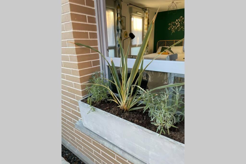Minimes, Studio Cosy Tout Confort, Wifi, Parking Daire Toulouse Dış mekan fotoğraf